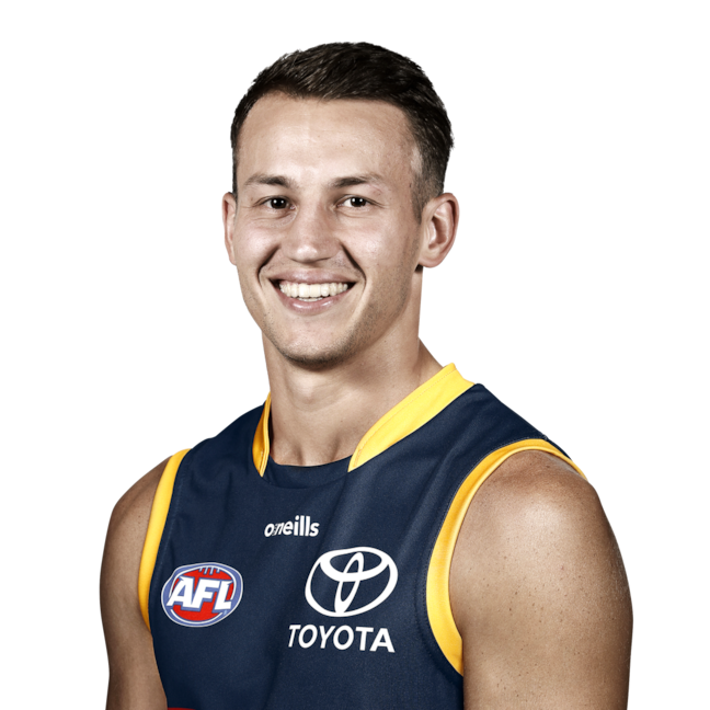 Tom Doedee profile picture